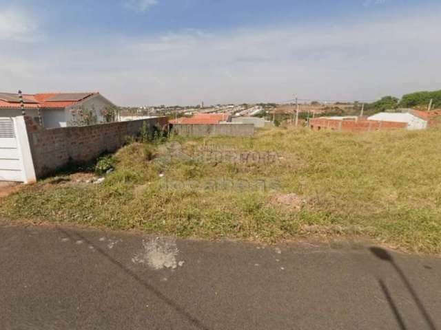 Terreno Padrão em São José do Rio Preto