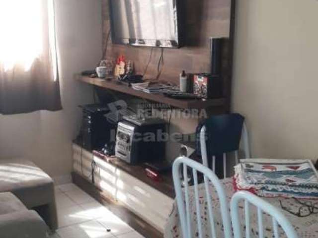 Apartamento Padrão em São José do Rio Preto