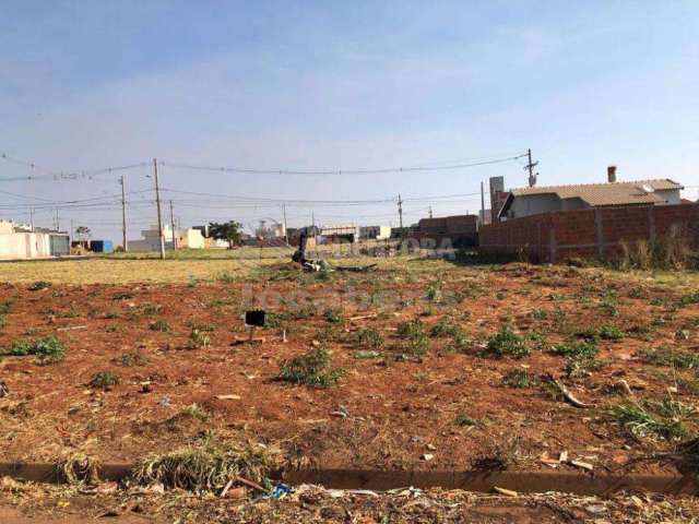 Terreno Padrão em Bady Bassitt