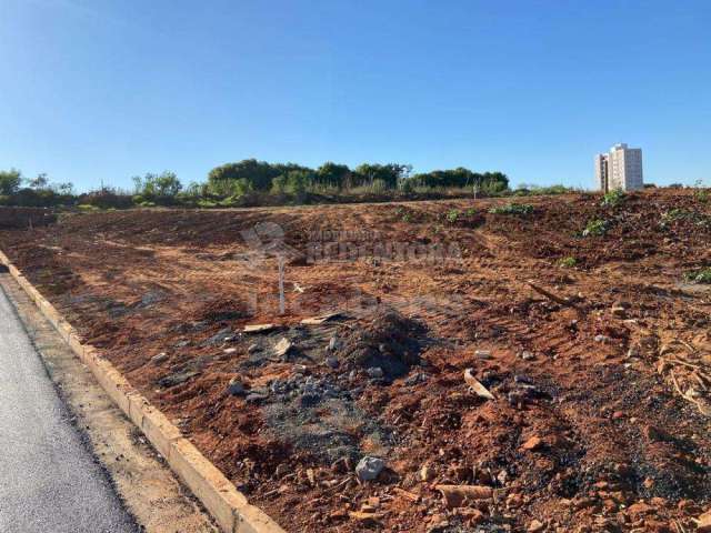 Terreno Padrão em São José do Rio Preto