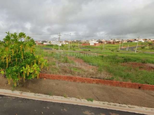 Terreno Padrão em Mirassol