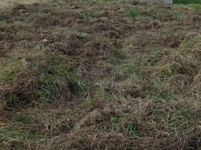 Terreno Padrão em São José do Rio Preto