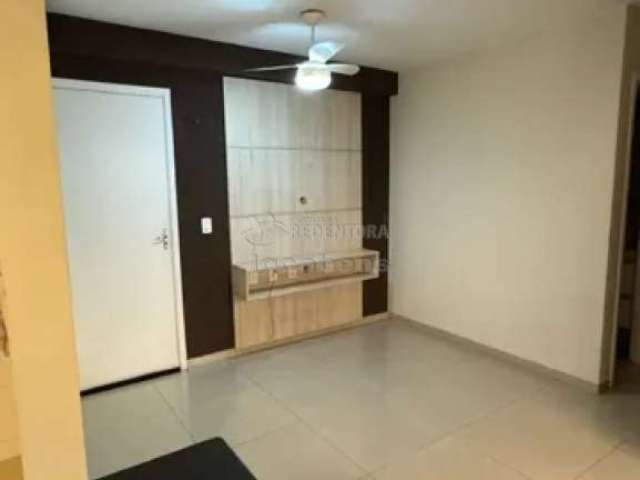 Excelente Apartamento para Locação - 2 Dormitórios / Jardim Planalto