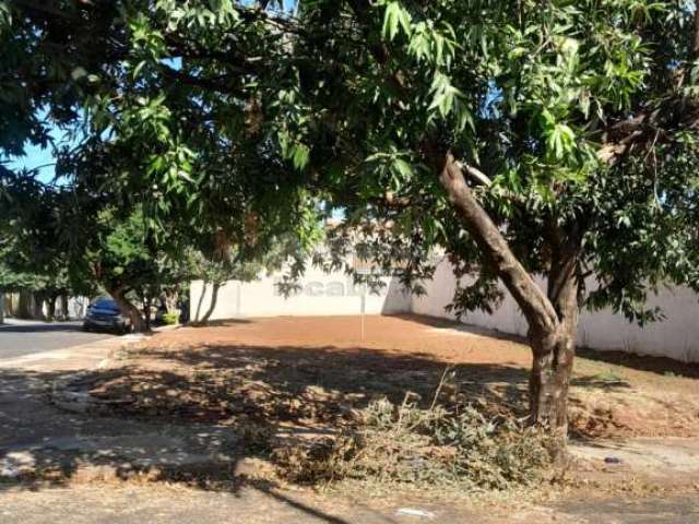 Terreno Padrão em São José do Rio Preto