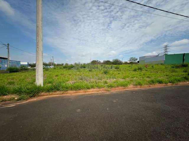 Terreno Padrão em São José do Rio Preto