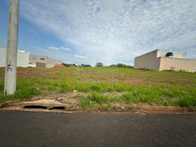 Venda de terreno no bairro Centro Empresaria Coplan em Rio Preto - SP