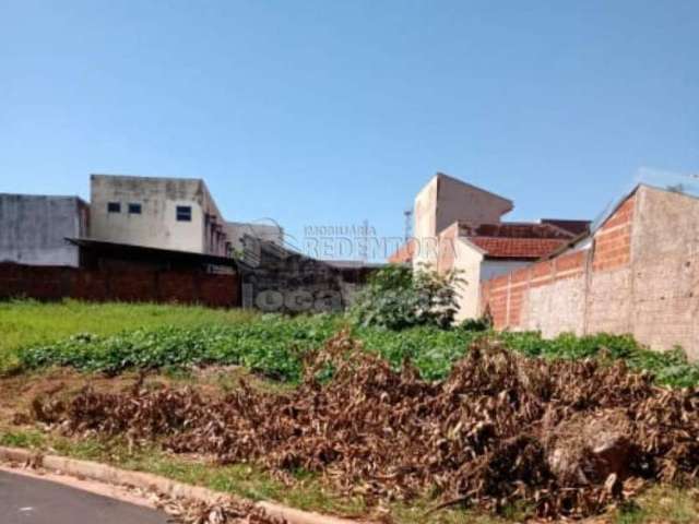 Terreno Padrão em São José do Rio Preto