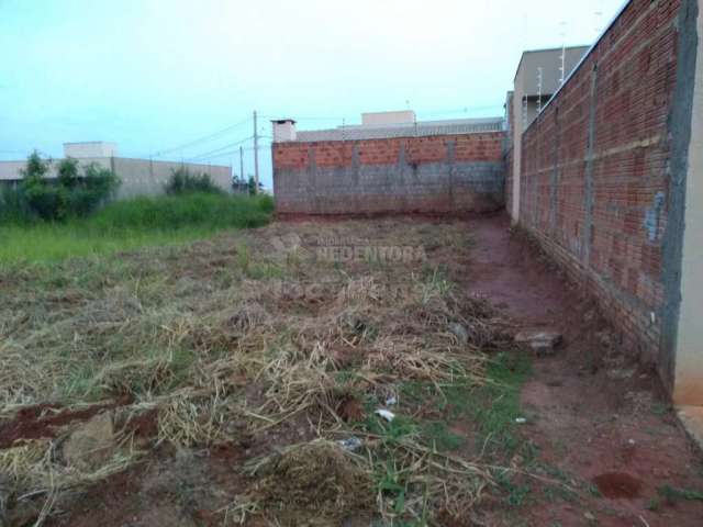 Terreno Padrão em São José do Rio Preto