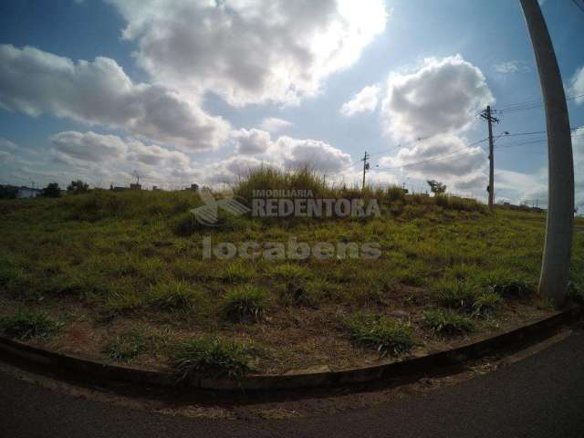 Terreno Padrão em São José do Rio Preto