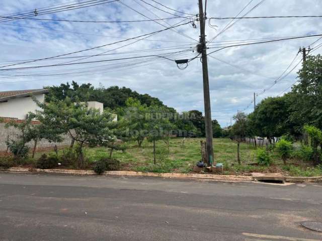 Palestina SP- Terreno em rua de alto fluxo, ótimo para seu novo investimento