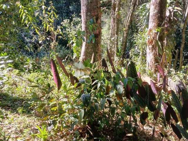 Sítio a Venda No Embu Guaçu