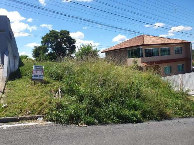 ****lote no iguaçu******