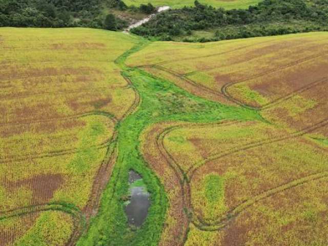 Fazenda a venda 54 alqueires Ponta Grossa