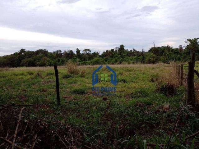 Terreno à venda, 3990 m² por R$ 165.000,00 - Zona Rural - São José do Rio Preto/SP