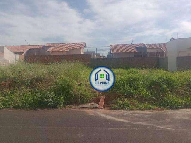 Terreno à venda, 200 m² por R$ 80.000 - São Thomaz - São José do Rio Preto/SP