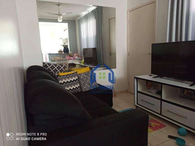 Apartamento com 2 dormitórios à venda, 52 m² por R$ 136.000,00 - Jardim Planalto - São José do Rio Preto/SP