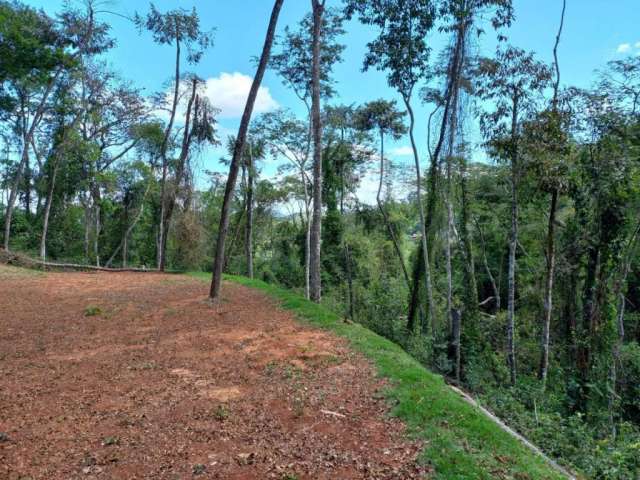 Terreno à venda, 3295 m² por R$ 228.000,00 - Balança - Simão Pereira/MG