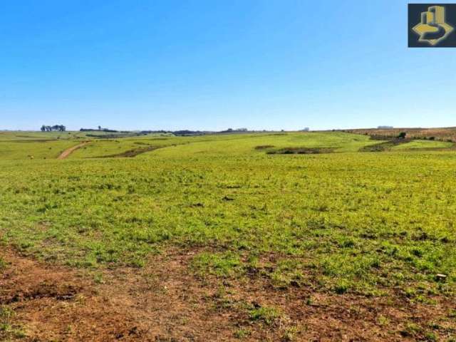 Fazenda de Primeira em Bagé-RS