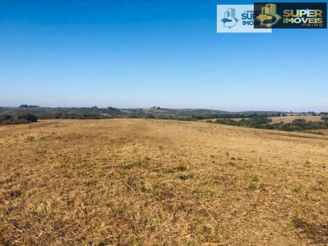 Fazenda para Venda em Herval-RS 288 hectares