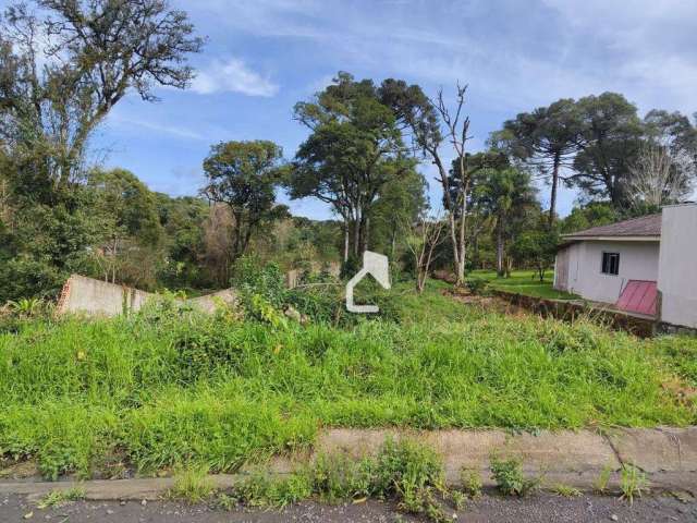 Terreno à venda, 828 m² por R$ 240.000,00 - Alto das Palmeiras - Canoinhas/SC