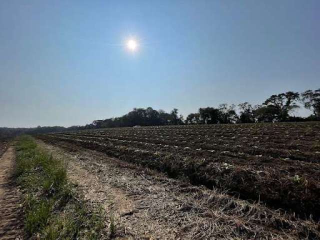 Terra de planta próximo a rodovia