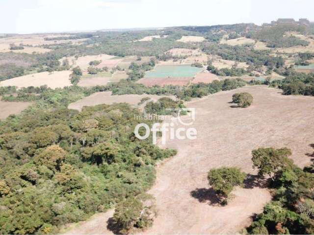 Fazenda com 1 dormitório à venda, 3097600 m² por R$ 22.000.000,00 - Distrito Agroindustrial de Anápolis - Anápolis/GO