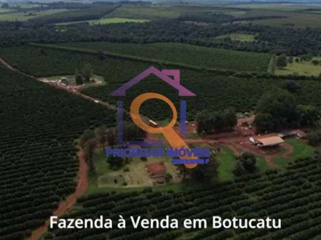 Fazenda de laranja com 623 ha em botucatu -sp