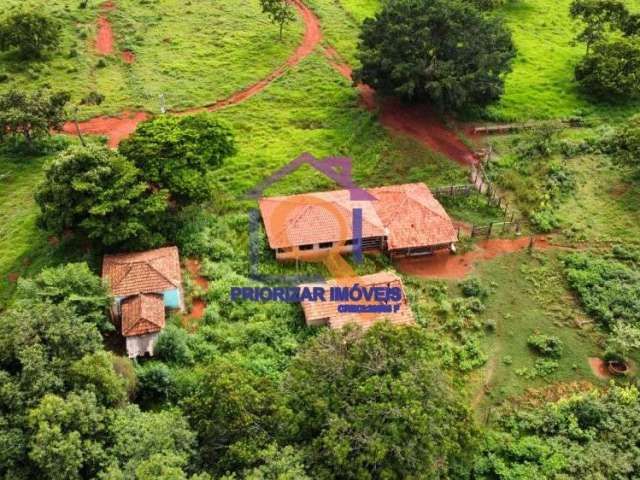 Fazenda dupla aptidão 118,1267 ha a venda em paineiras-mg