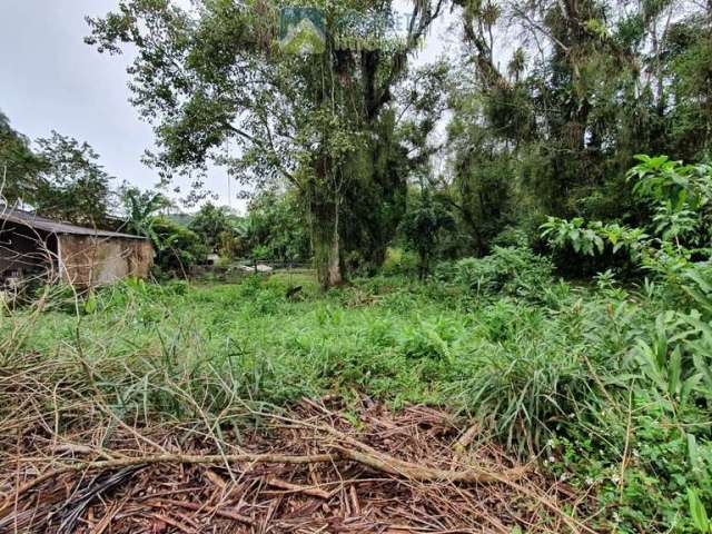 Terreno à venda no bairro Rocio - Morretes/PR, Urbana