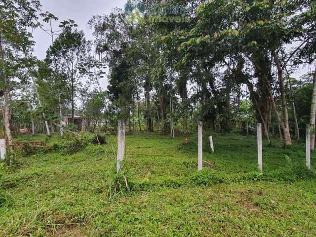 Terreno à venda no bairro Vila das Palmeiras - Morretes/PR