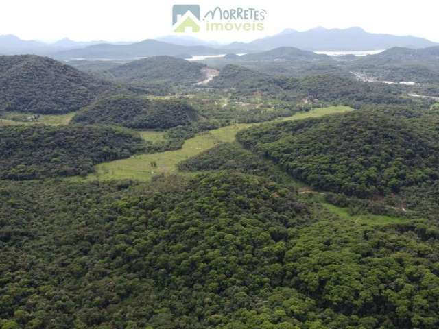 Terreno à venda no bairro Braço da Figueira - Antonina/PR