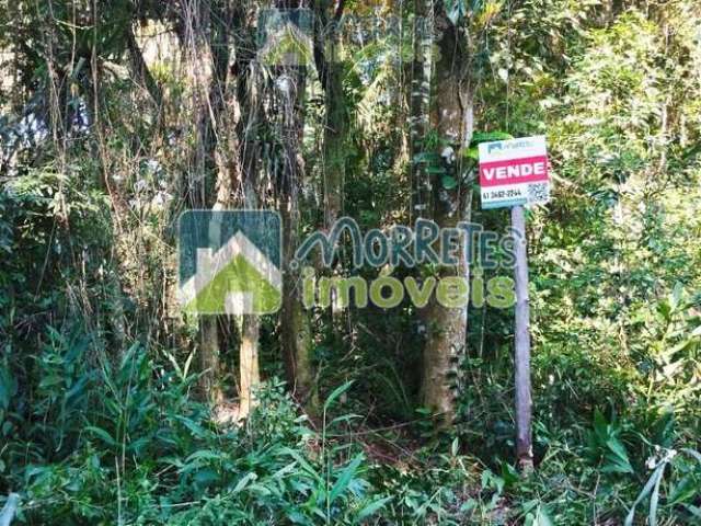 Área à venda no bairro Cruz Alta - Morretes/PR, Rural