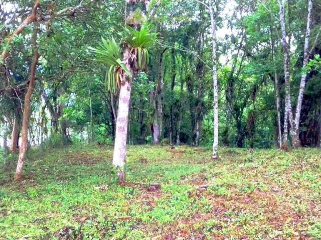 Terreno no Bairro Sarapia, Morretes/PR de frente para o asfalto.