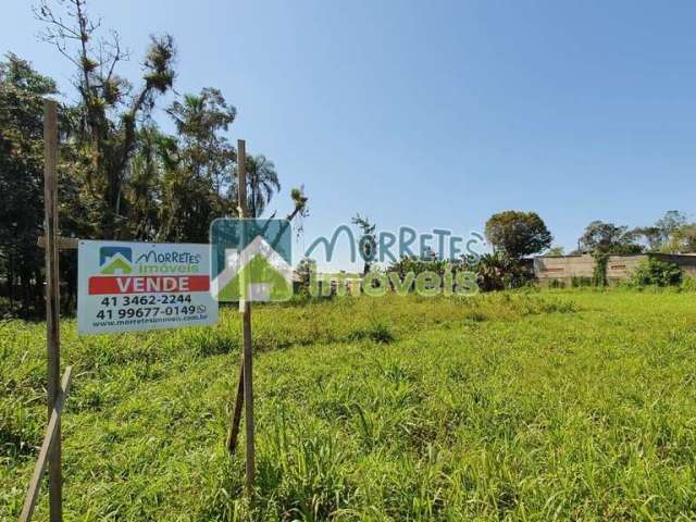 Terreno à venda no bairro Sitio Do Campo - Morretes/PR, Urbana