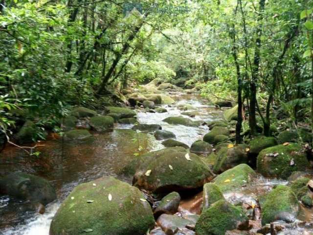 Terreno à venda na Estrada da Ponte Alta, 227, Zona Rural, Morretes, 39400 m2 por R$ 375.000