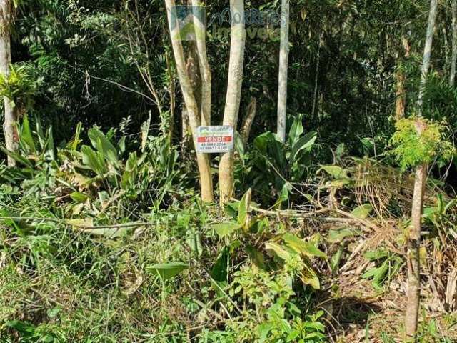 Terreno para Chácara ou Casa de Campo.