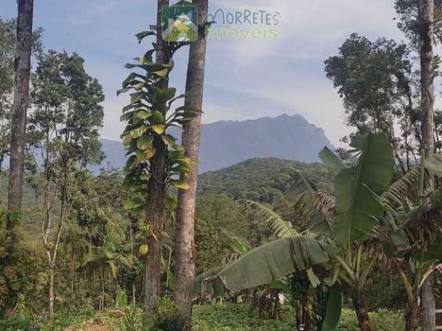 Terreno em Sapitanduva, Morretes/PR