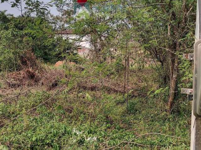 Terrenos / Lotes em Vila das Palmeiras, Morretes/PR