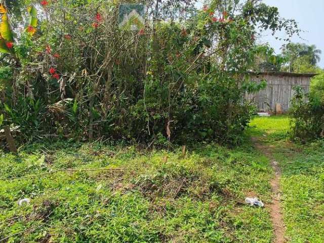 Terreno / Lote em Vila das Palmeiras, Morretes/PR