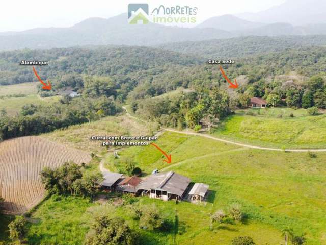 Fazenda Contenda: Seu Paraíso Rural em Morretes com 173 hectares!