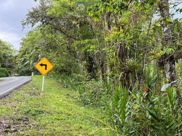 Área à venda no bairro Braço da Figueira - Antonina/PR, Rural