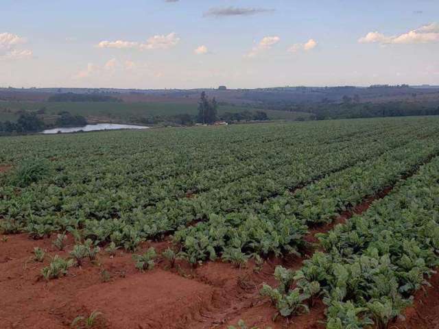 Excelente fazenda para plantio em Perdizes - MG! Excelente altitude e alto teor de argila para plantio de HF.