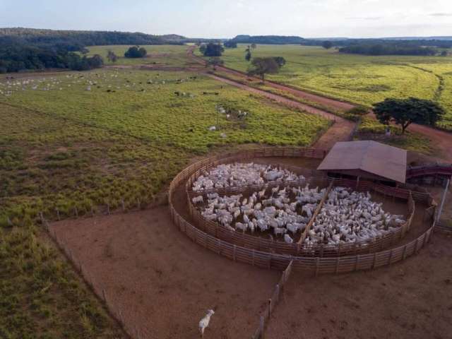 Fazenda dupla aptidão á venda de porteira fechada em Barra do Ouro-To!