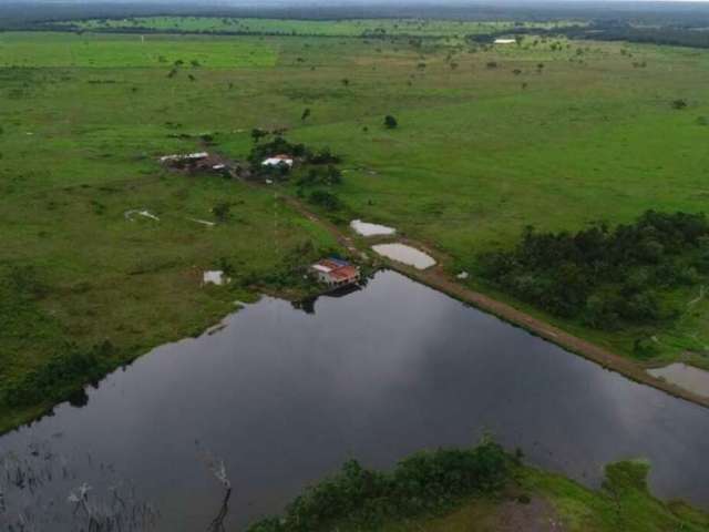 Ótima fazenda de dupla aptidão em Gurupi- TO