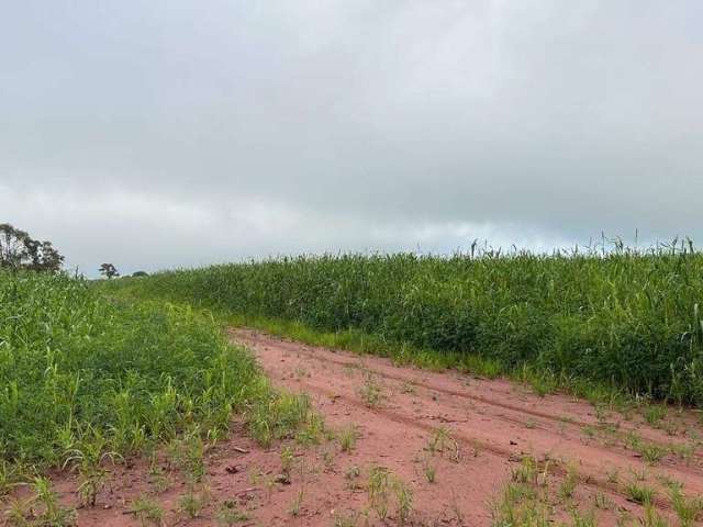 Excelente fazenda próxima a Uberlândia, dupla aptidão.