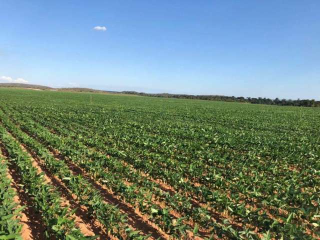 Oportunidade Única: Fazenda Produtiva em Rio do Sono.