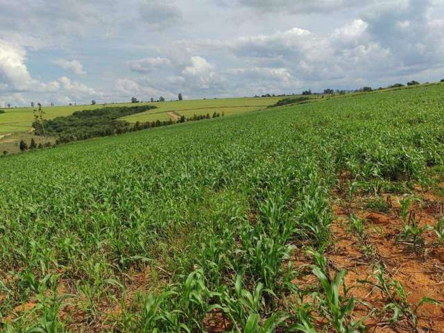 Fazenda ideal para agricultura em Romaria-MG, próxima ao Arraial do Itaipú.