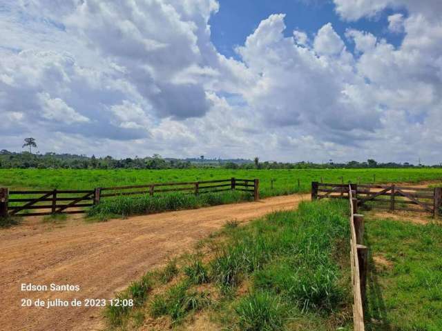 Fazenda á venda de porteira fechada em Uruará-PA!