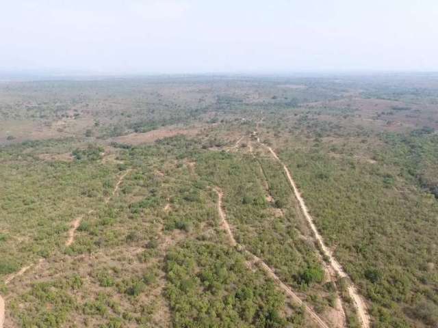 Fazenda de dupla aptidão á venda na região de Damianópolis-GO