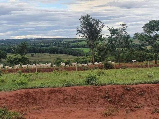 Propriedade Rural Espetacular de dupla aptidão em Monte Alegre-MG